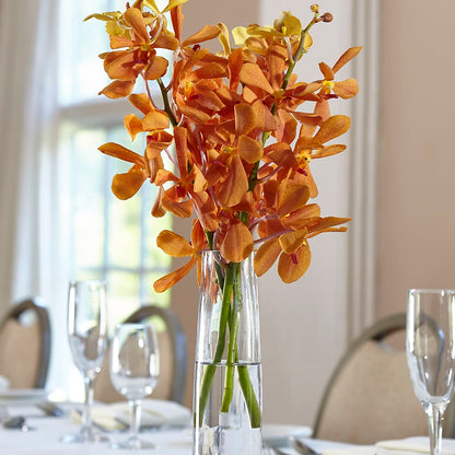 Orange Mokara Bud Vase – C & C SENSATIONS, Waynesboro VA