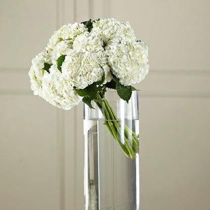 White Hydrangea Hand-Tied Bouquet – C & C SENSATIONS, Waynesboro VA