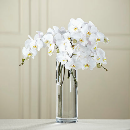 White Phalaenopsis Bouquet – C & C SENSATIONS, Waynesboro VA