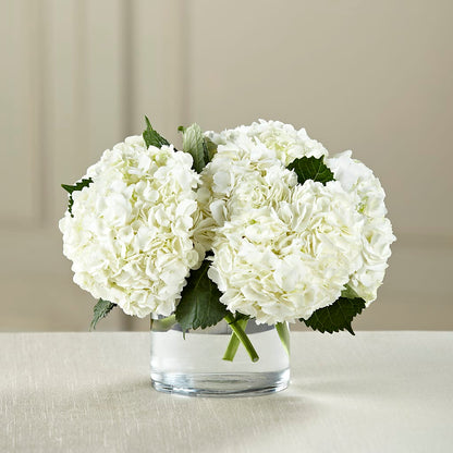 White Hydrangea Bouquet – C & C SENSATIONS, Waynesboro VA